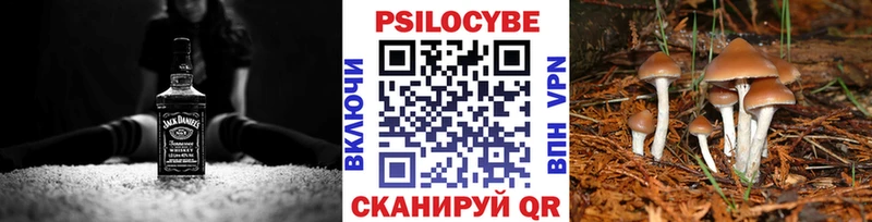Купить где  Кулебаки  Псилоцибиновые грибы Psilocybine cubensis 